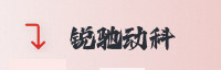 信赖伙伴